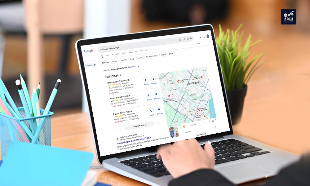 "Search Engine Index process with crawling website pages